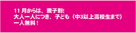 個人プログラム 個人プログラム